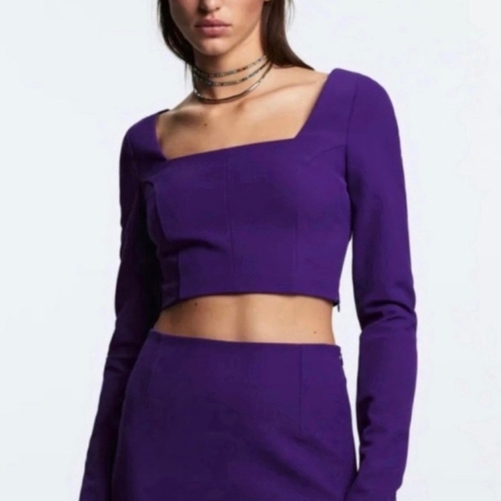 ZARA Purple Top Long Sleeves
